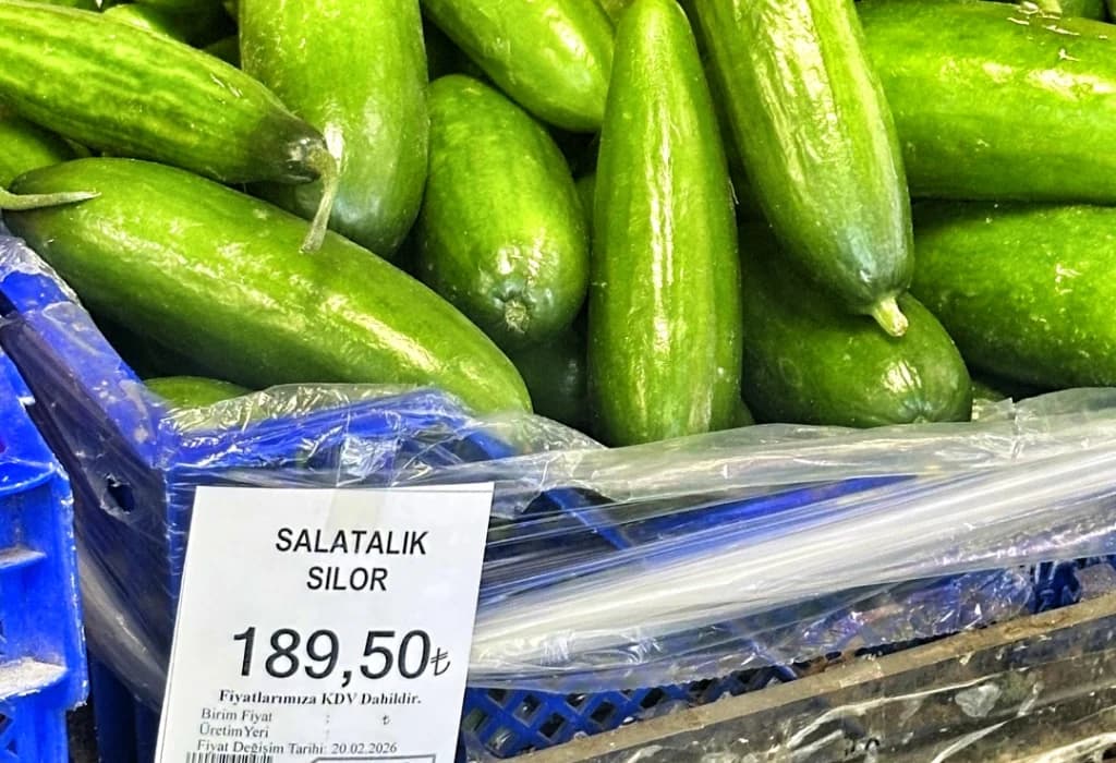Salatalık fiyatı rekor kırdı: Kilogramı 189 TL!