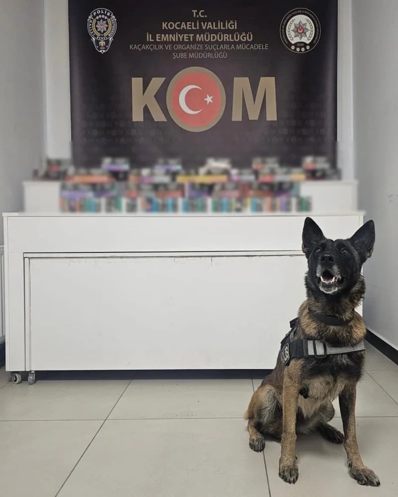 Kuzey Marmara Otoyolu'nda Kaçak Elektronik Sigara Operasyonu!