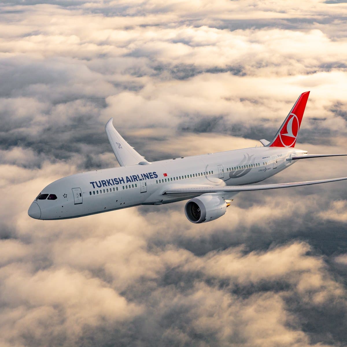 THY Uçağı Barselona'da Acil İniş Yaptı!