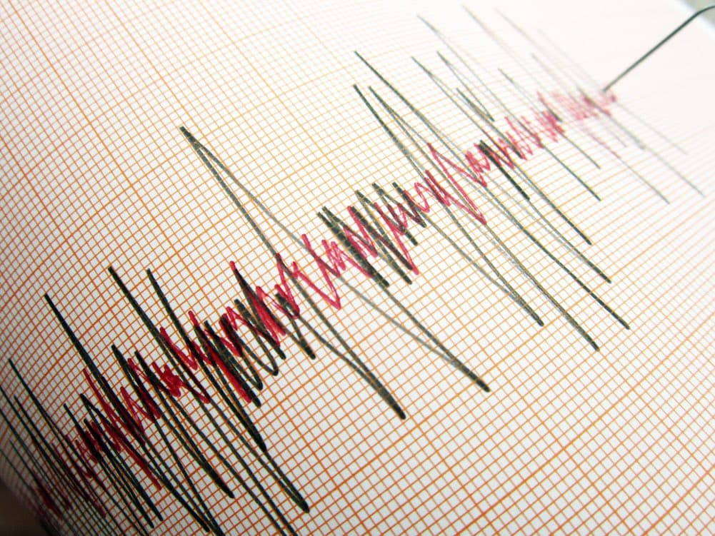 Kocaeli'de Deprem Paniği!