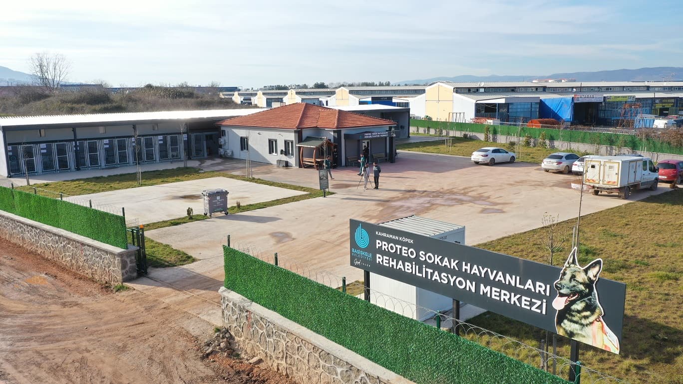 Başiskele'de Sokak Hayvanları İçin Yeni Adım!