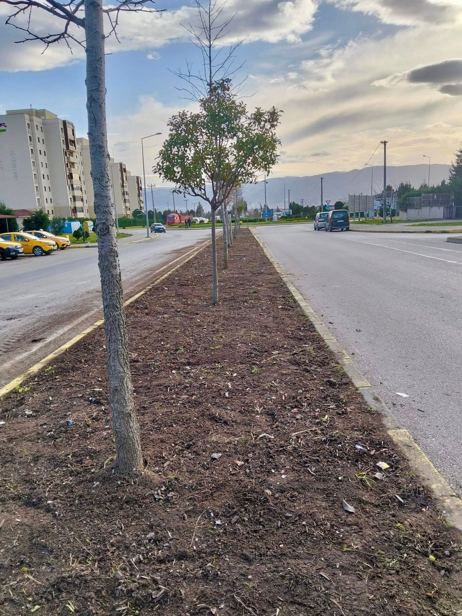 Körfez'de Çevre Düzenleme Çalışmaları!