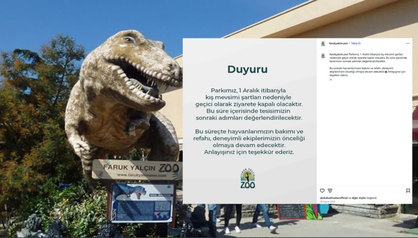 Darıca'da FYZoo Kış Molasında!