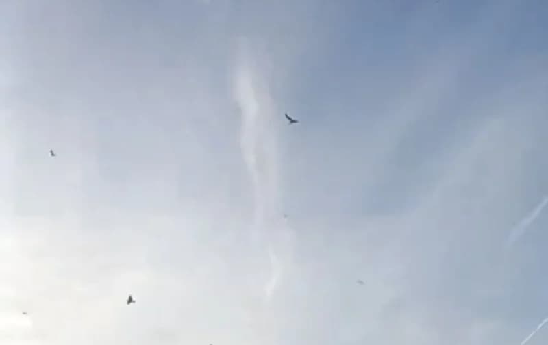 İzmit'te Gizemli Sprey İddiası Vatandaşları Endişelendirdi!