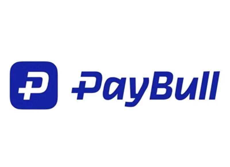 PayBull'a kara para aklama soruşturması: 25 gözaltı!