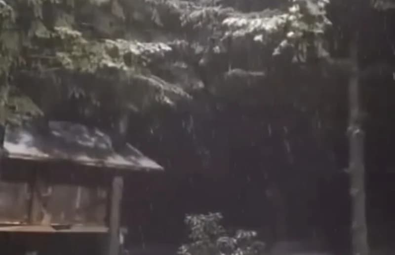 Kocaeli'nin Yüksek Kesimlerine İlk Kar Yağışı!