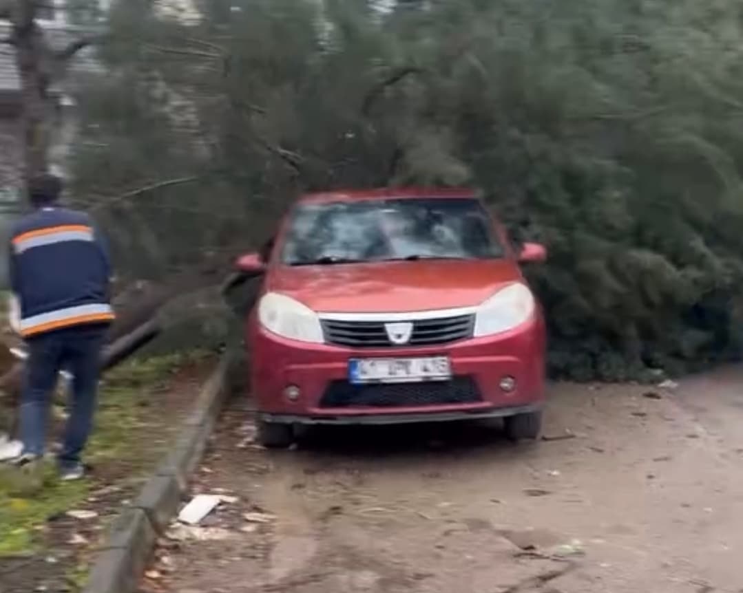 Körfez'de Fırtına Korkuttu!