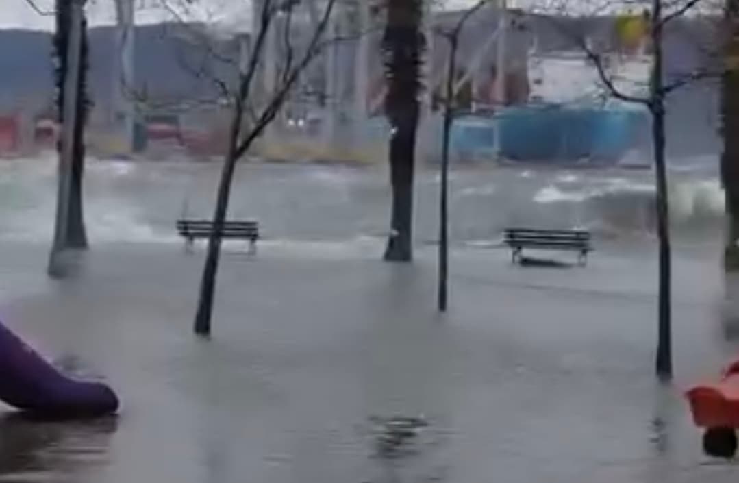 Körfez'de Lodos Yarımca Sahili'ni Vurdu!