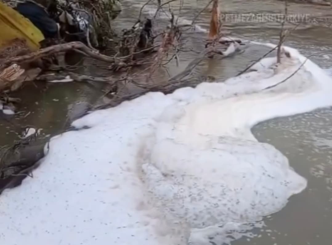 Gebze Ballıkayalar'da Dere Kirliliği!