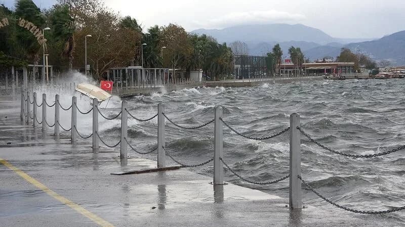 Kocaeli'de Lodos Alarmı!