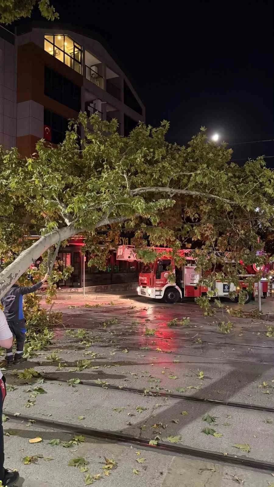 Tramvay hattına düşen dal seferleri aksattı