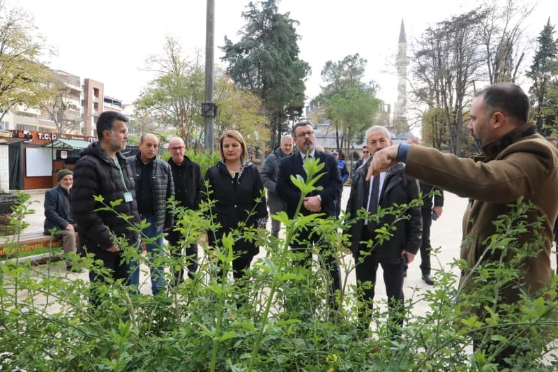 İzmit'te Yeni Cuma Parkı Botanik Bahçesine Dönüşüyor!
