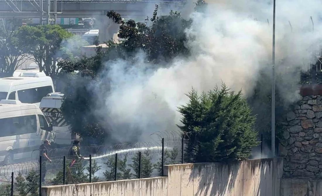 Ağaçlık alanda çıkan yangın büyümeden söndürüldü