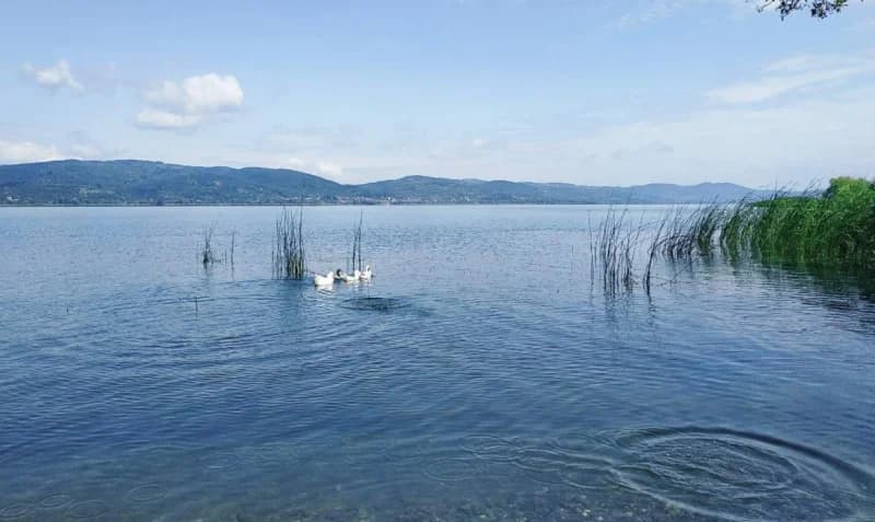 Sapanca Gölü'nde Balıkçıları Şaşırtan Kabarcıklar!
